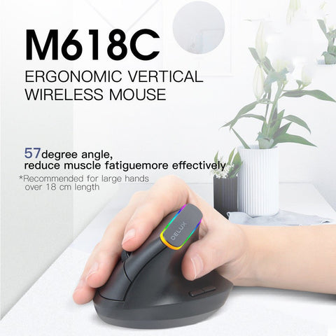 Souris verticale ergonomique sans fil RGB - WorldElectronic